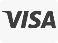 visa icon